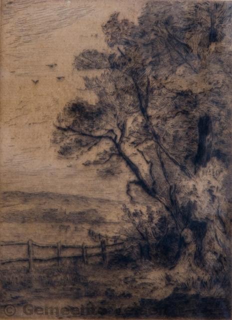 Foto van Omgeving Meer en Berg