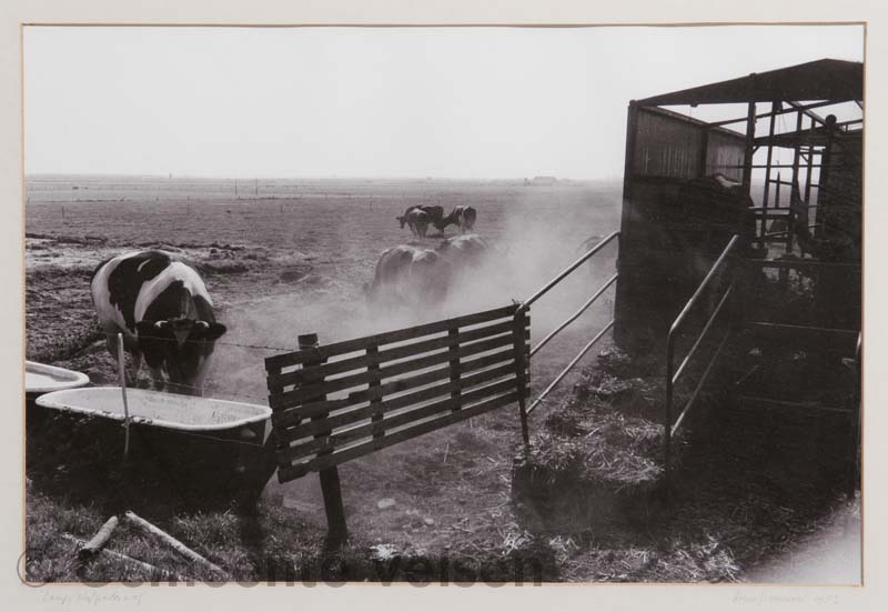 Foto van Langs Hofgeesterweg