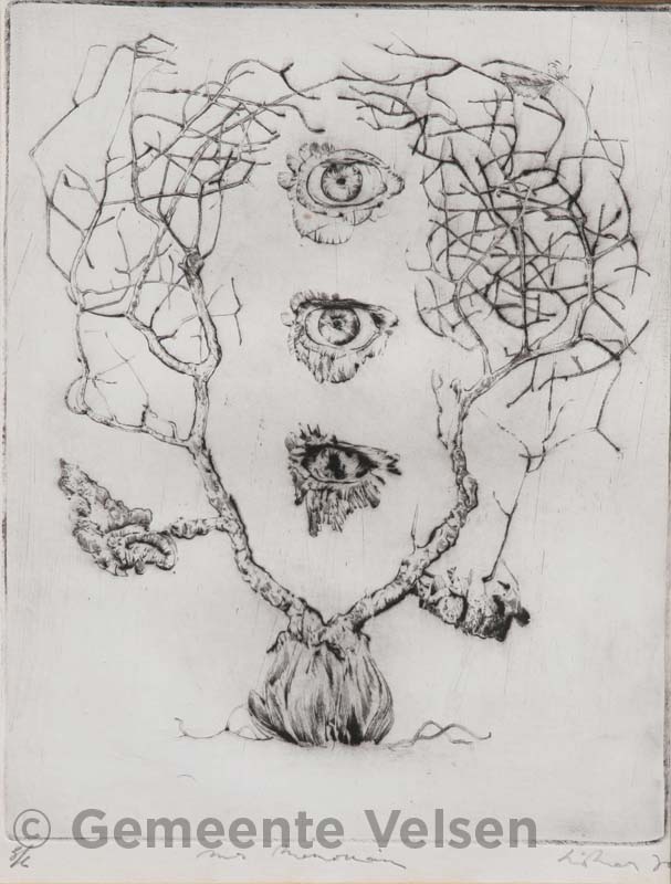 Foto van M.S. Memoriam